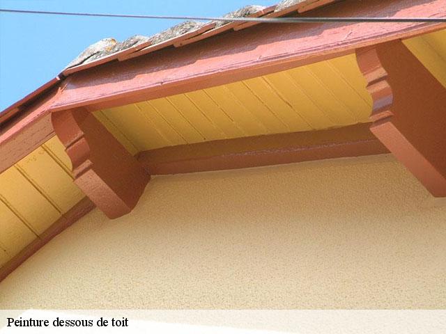 Peinture dessous de toit  95400