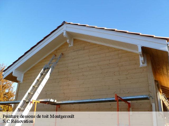 Peinture dessous de toit  montgeroult-95650 S.C Rénovation